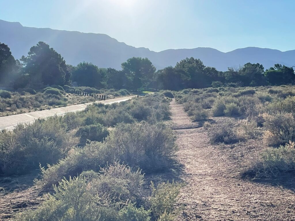 North Pino Arroyo Path