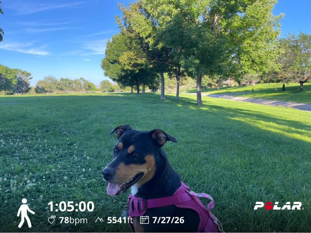 Training Log for the Week of July 27th 2026
