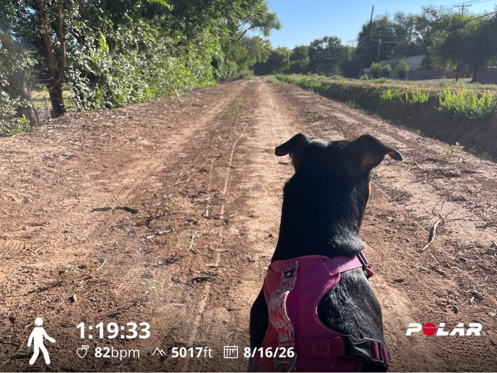 Training Log for the Week of August 10th 2026