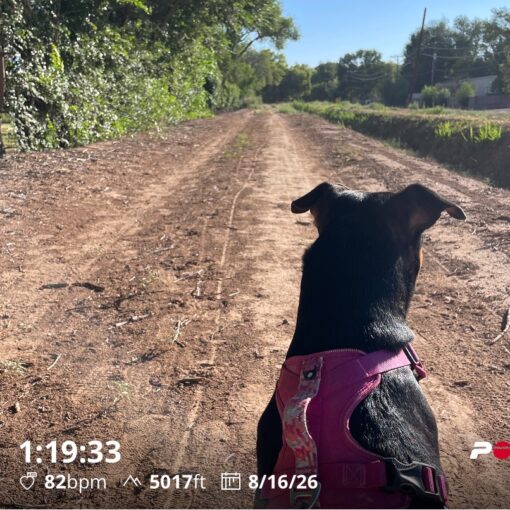 Training Log for the Week of August 10th 2026