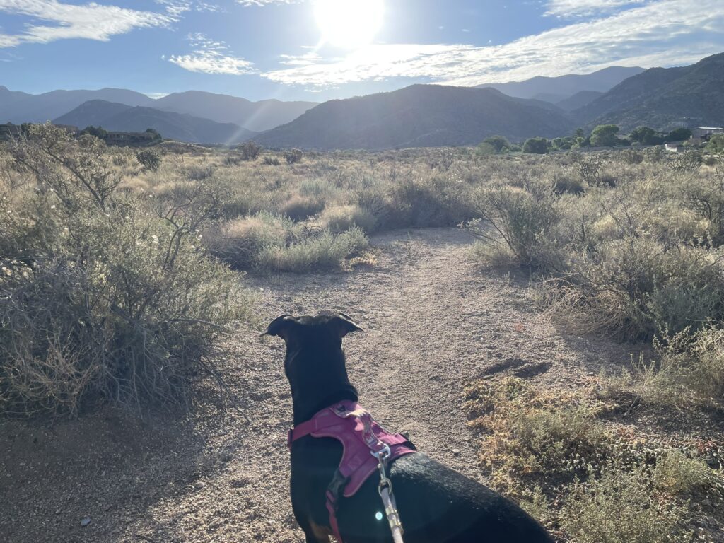 My training log for the week of August 17th 2026 started with a change of pace hike in the Sandia Mountain foothills.