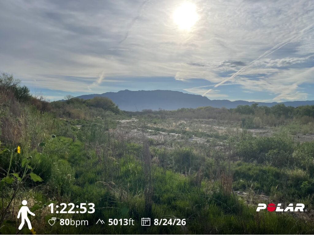 Training Log for the Week of August 24th