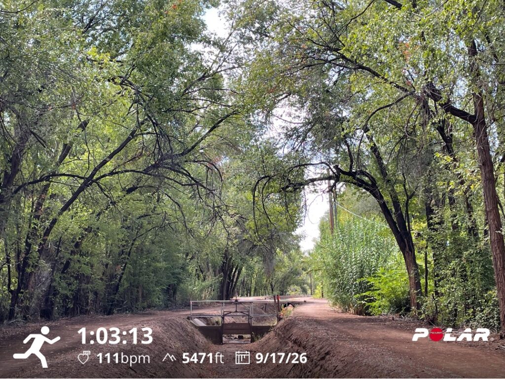 Training Log for the Week of September 14 2026