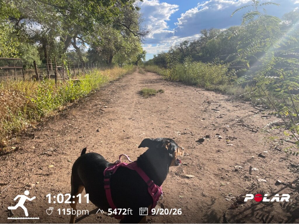 Training Log for the Week of September 14 2026