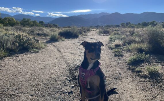 Maggie on the trail as we started our one mile warm up walk