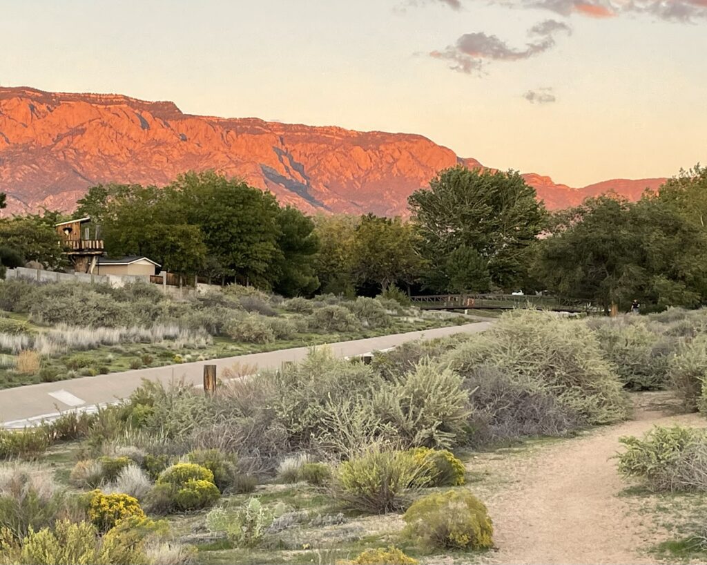 Sunset on the Sandias