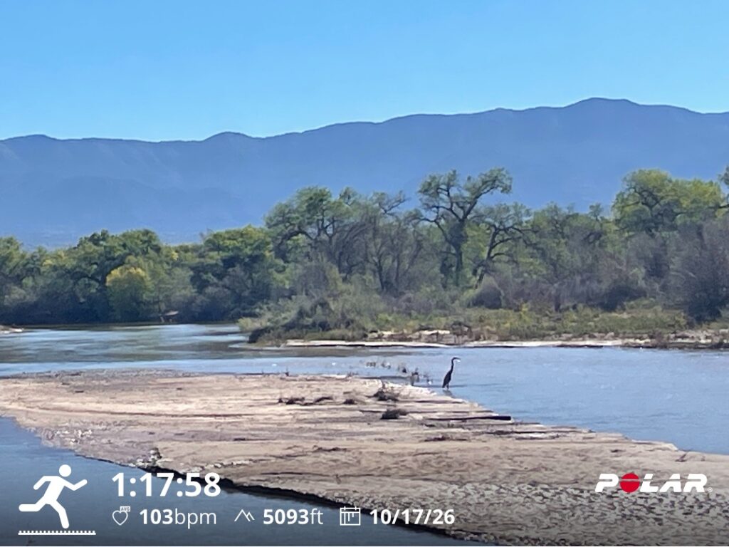 Rio Grande River and a blue heron