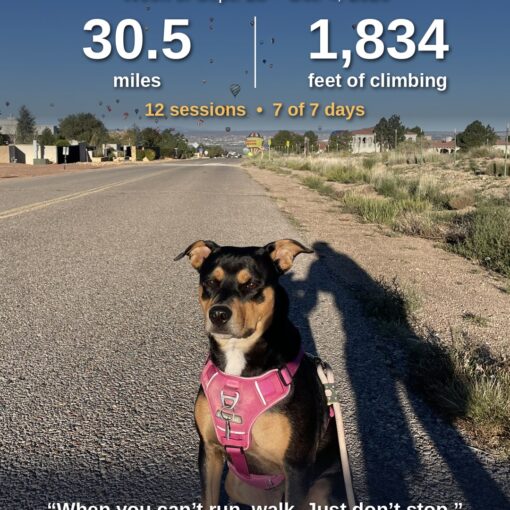 Training Log for the Week of September 28th 2026