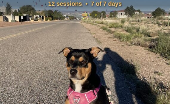 Training Log for the Week of September 28th 2026